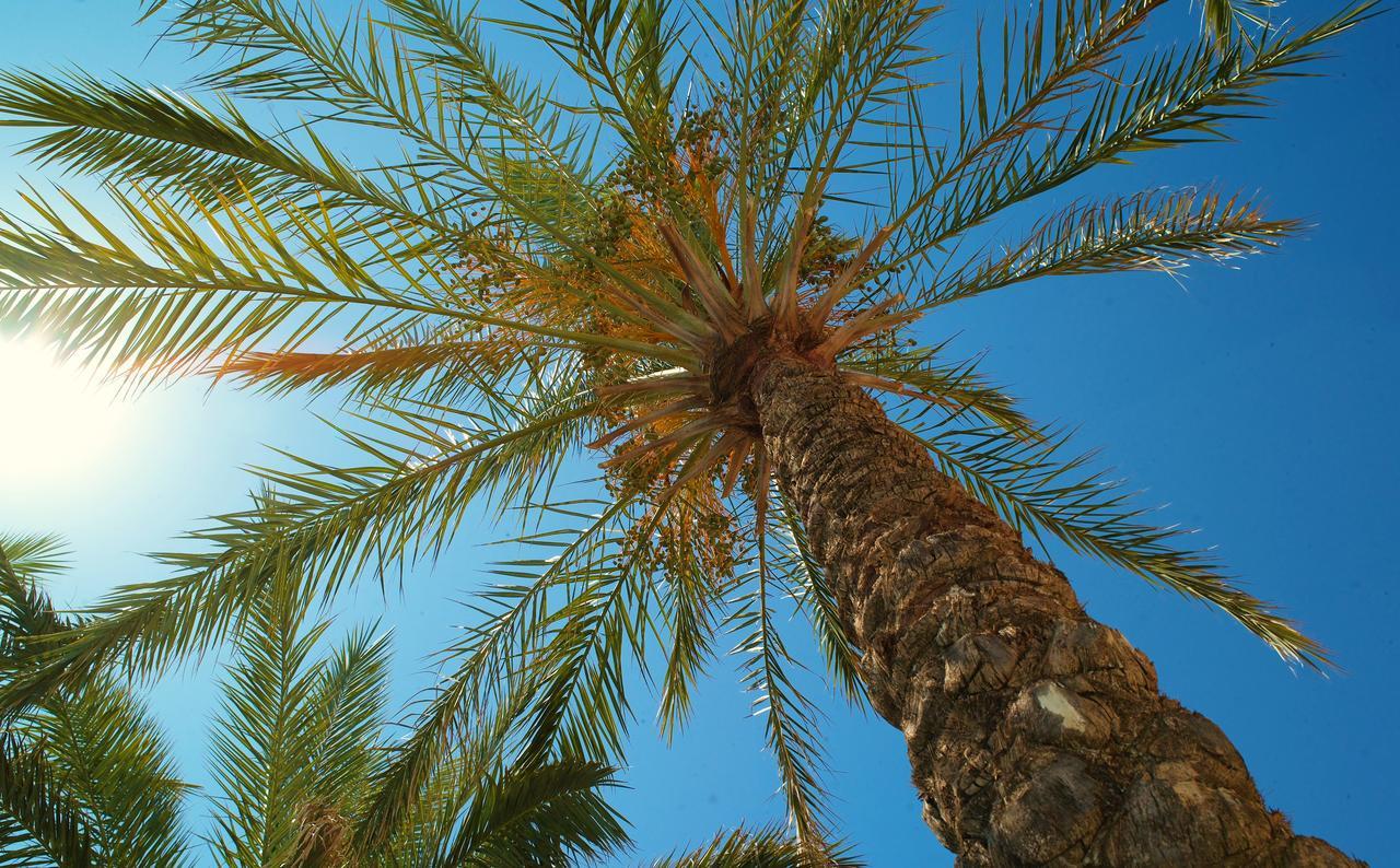 Kallitsakis Beach Platanias  Ngoại thất bức ảnh